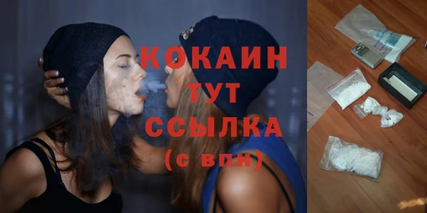 мет Протвино