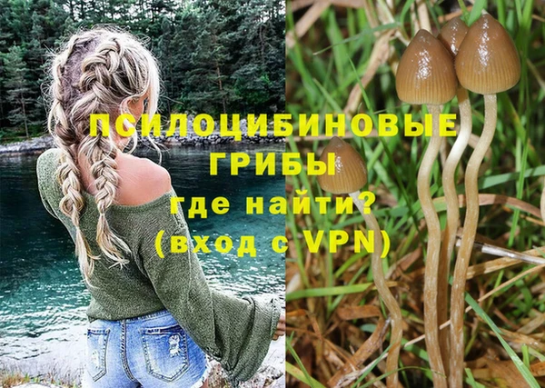 spice Приозерск