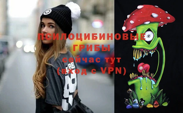 spice Приозерск