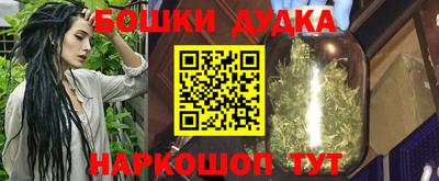 МДПВ Будённовск