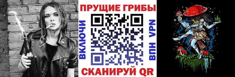 продажа наркотиков  Учалы  Псилоцибиновые грибы GOLDEN TEACHER 